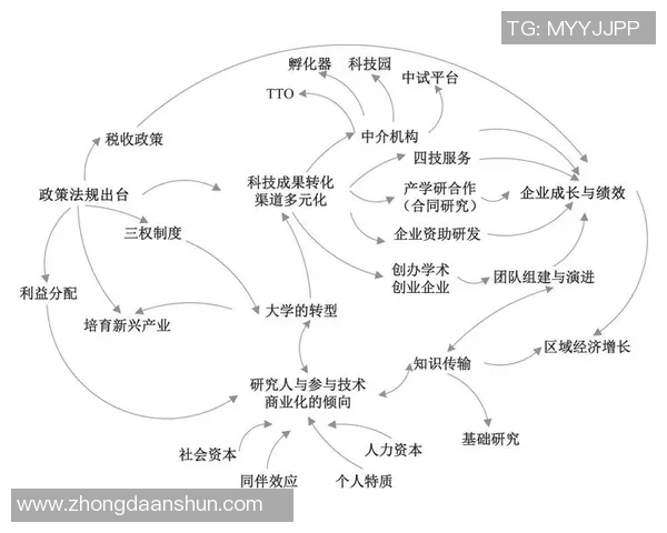 杭州篮球队协作分析与战术配合的深度探讨与展望