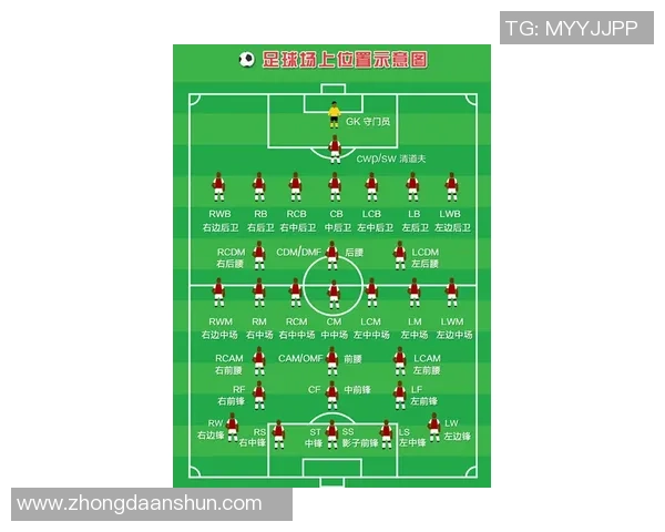 南京排球队进攻革新之路探索与展望分析